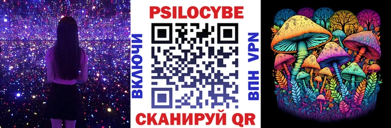 Псилоцибиновые грибы Cubensis  Купить  Энгельс 